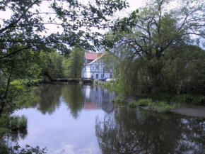 Mühlenteich in der Oldenstädter Wassermühle